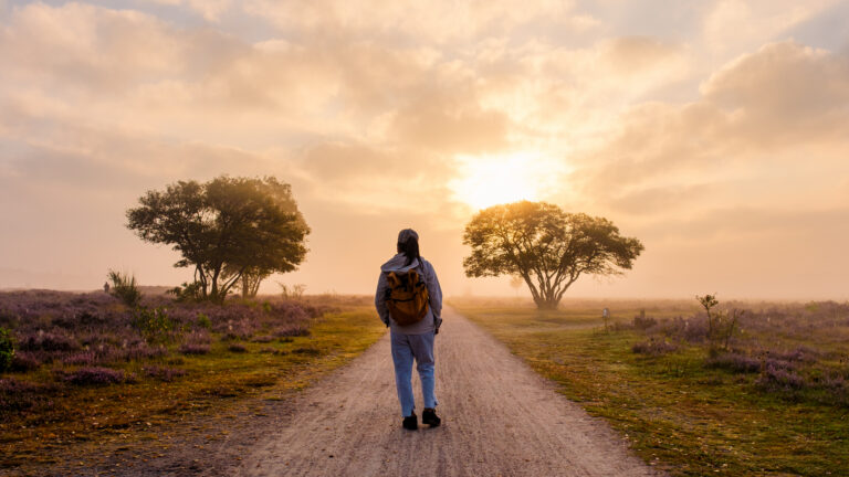 A person walking through blooming fields